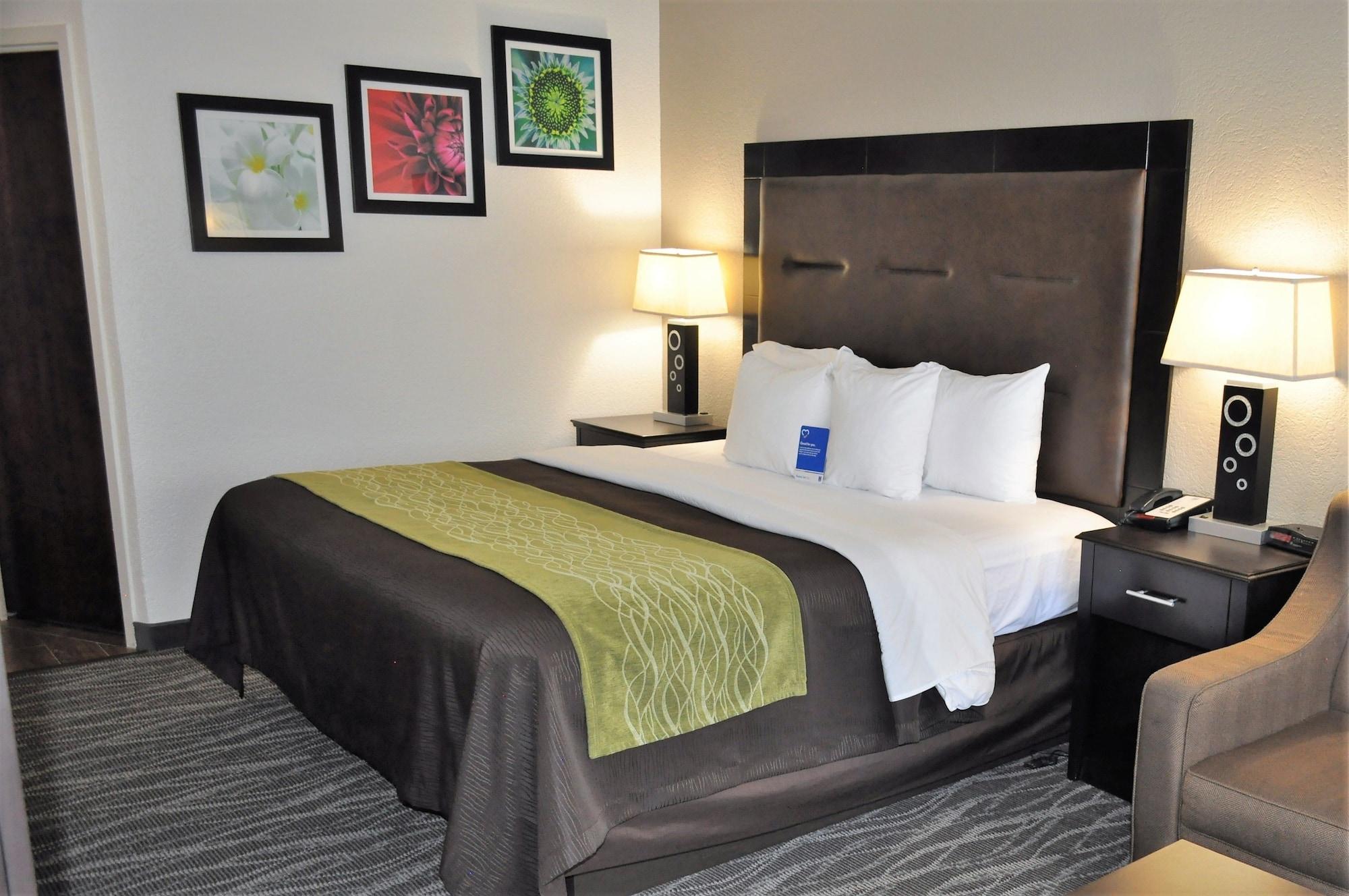 Comfort Inn Downtown Чарльстон Экстерьер фото
