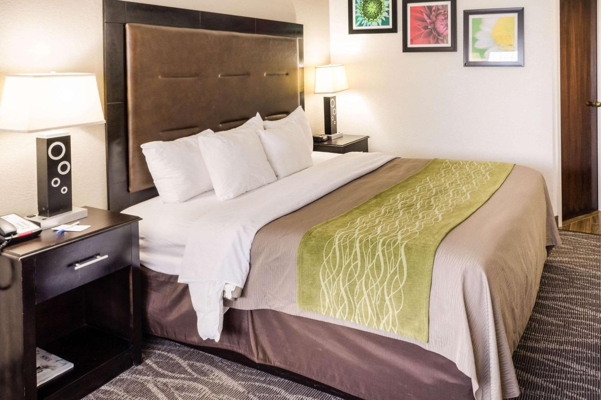 Comfort Inn Downtown Чарльстон Экстерьер фото