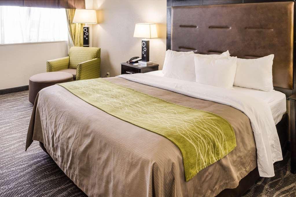 Comfort Inn Downtown Чарльстон Номер фото