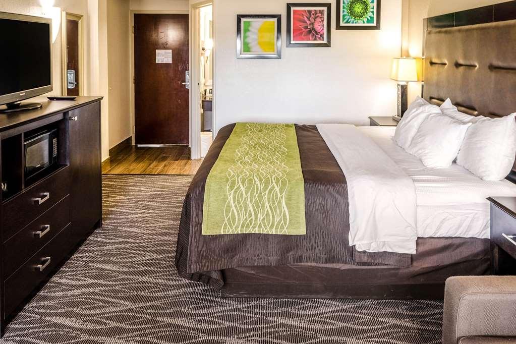 Comfort Inn Downtown Чарльстон Номер фото